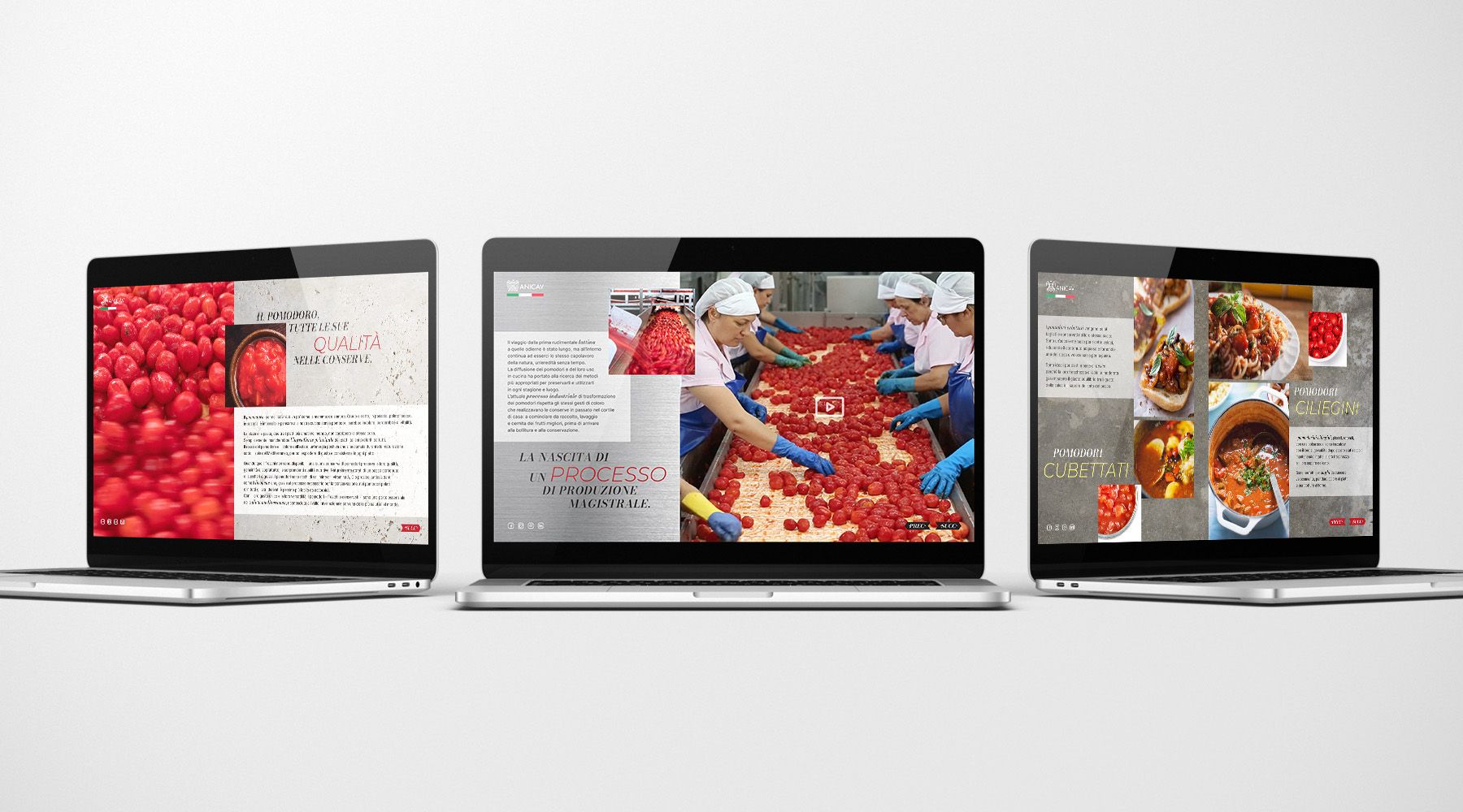 La creatività è stata adattata in quattro lingue (inglese, coreano, giapponese e cinese) e declinata su stampa, TV, attività on-field (fiere di settore, restaurant week, POS promotion), social media, siti web, coinvolgendo più di 1000 influencer e blogger. Milioni di consumatori e specialisti del settore Ho.Re.Ca. sono stati raggiunti dai messaggi della campagna, facendo registrare un incremento di notorietà per le conserve di pomodoro europee e le loro caratteristiche uniche. La campagna è stata co-finanziata dall’Unione Europea.