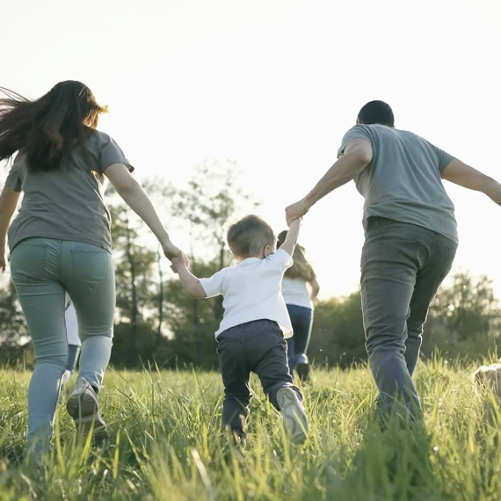 Riflettendo semplicemente l’approccio progettuale e produttivo dell’azienda, abbiamo confezionato un flusso narrativo che scorresse naturalmente dai princìpi ai dati, partendo da una triangolazione centrale nell’attività di PromoPharma: natura, scienza, tecnologia.